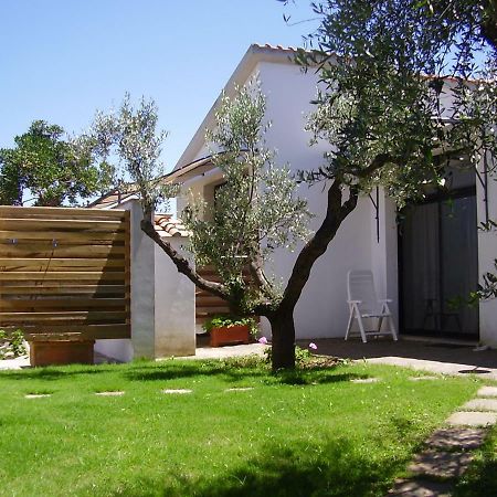 Podere Belvedere Cecina Чечина Екстериор снимка