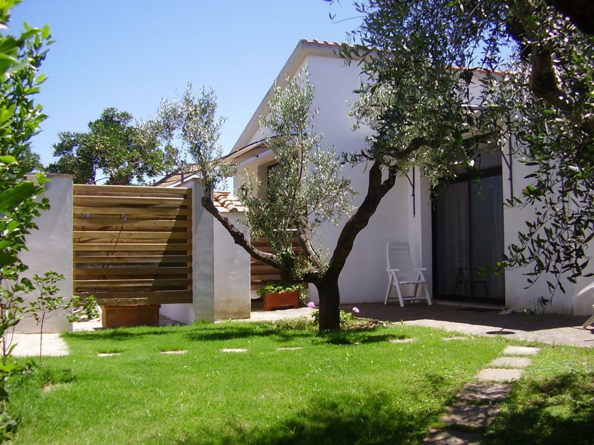 Podere Belvedere Cecina Чечина Екстериор снимка