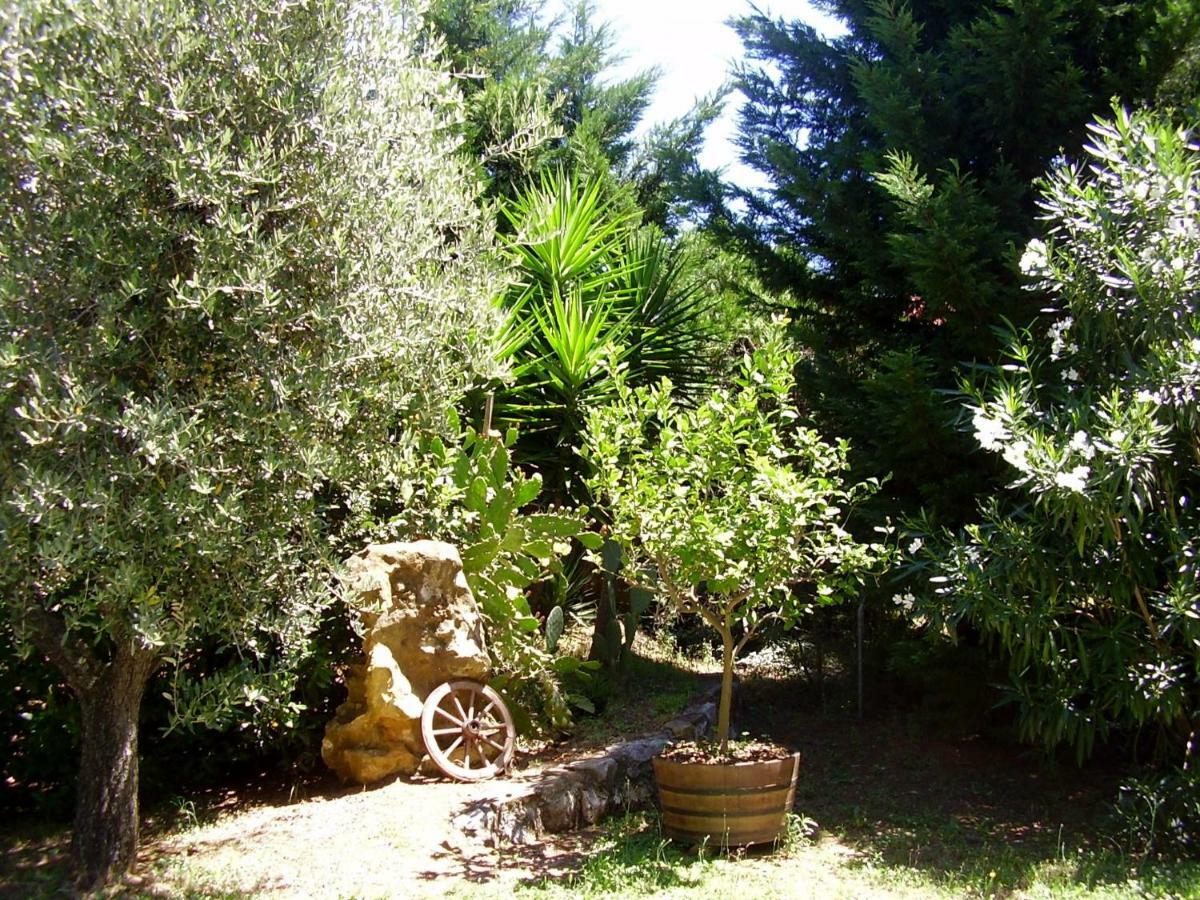 Podere Belvedere Cecina Чечина Екстериор снимка