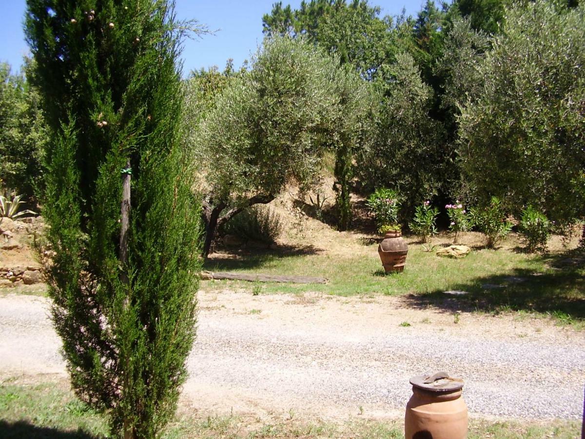 Podere Belvedere Cecina Чечина Екстериор снимка