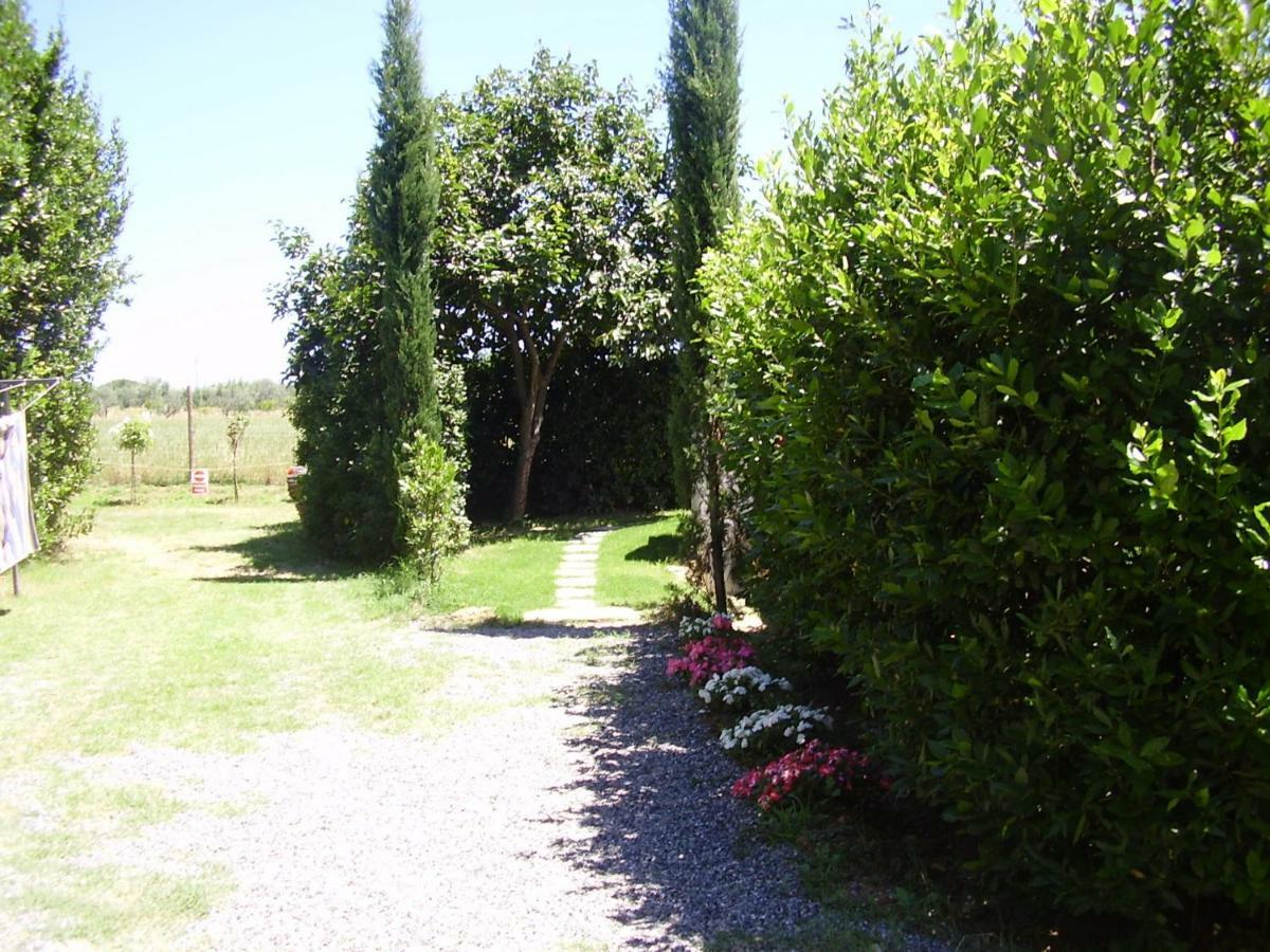 Podere Belvedere Cecina Чечина Екстериор снимка